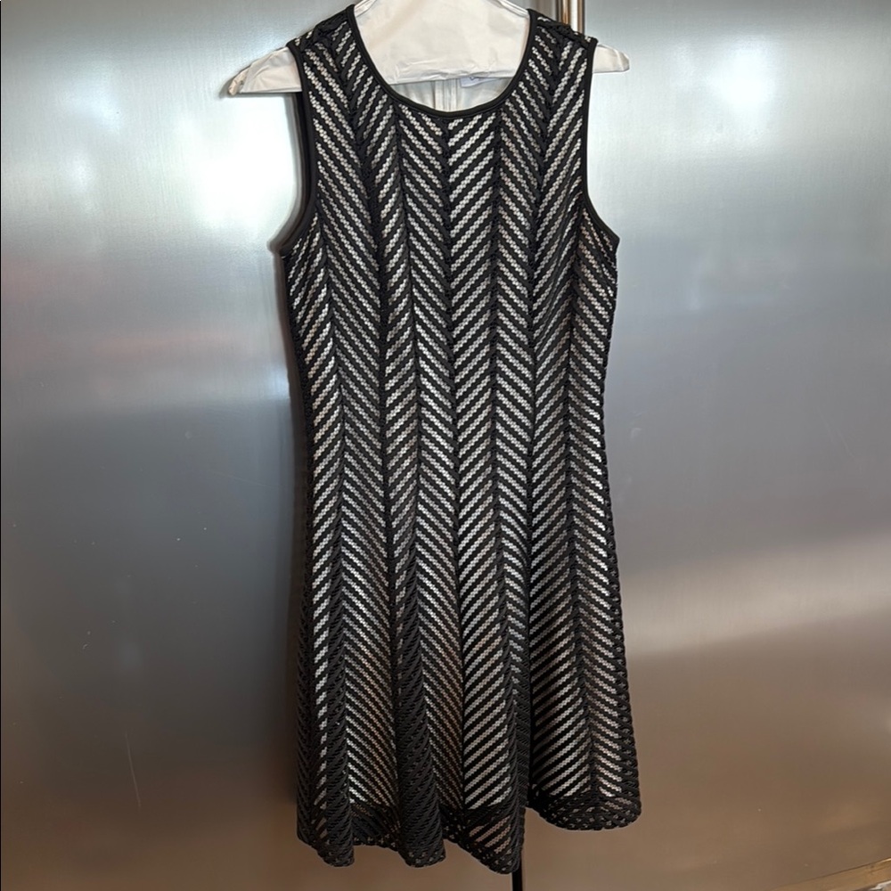 Calvin Klein Black and White Lined A-Line Cocktail Dress